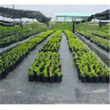 100% Virgin PP Weed Mat Ground Cover Weed Mat